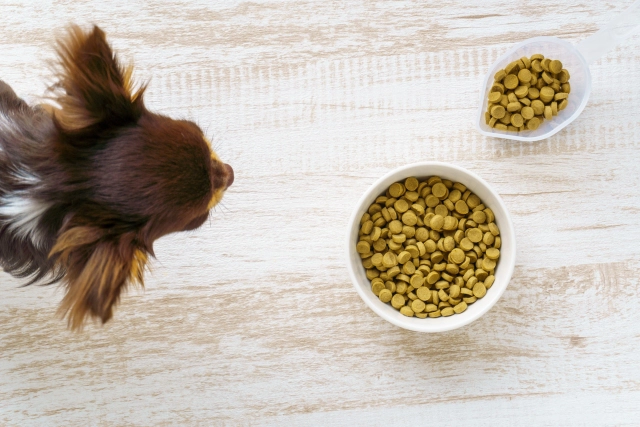 モグワン・カナガン