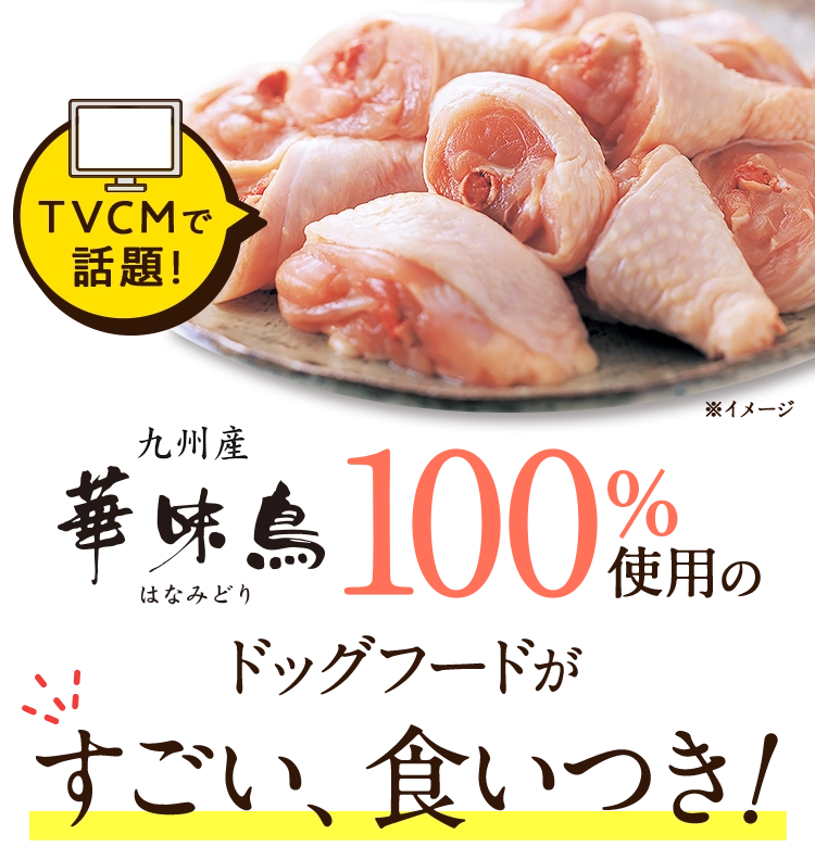 銘柄鶏「九州産華味鳥」